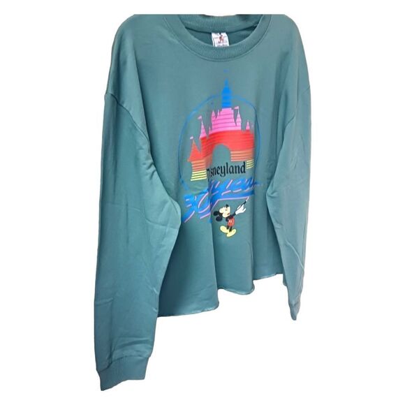 DISNEY PARKS VINTAGE 30 YEAR CELEBRATION SWEATSHIRT! NWT Size XL - Picture 7 of 13
